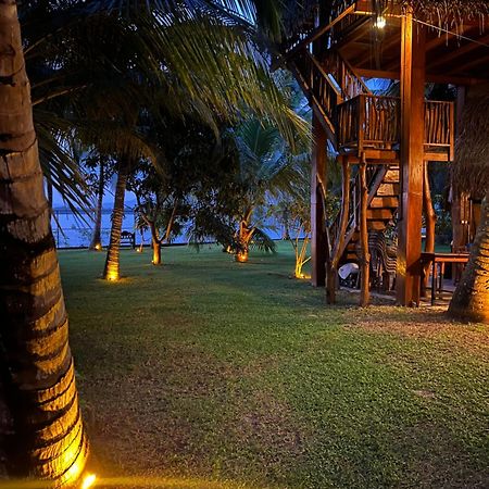 Yala Elephant Cottage Tissamaharama Ngoại thất bức ảnh